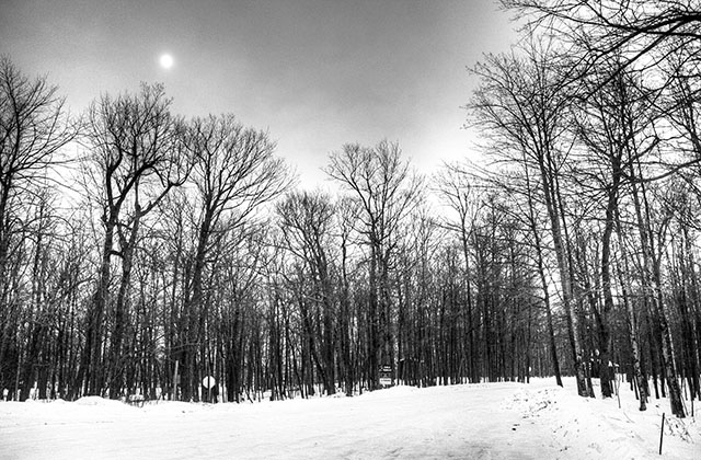 Peninsula State Park Door County Moon Winter Snow